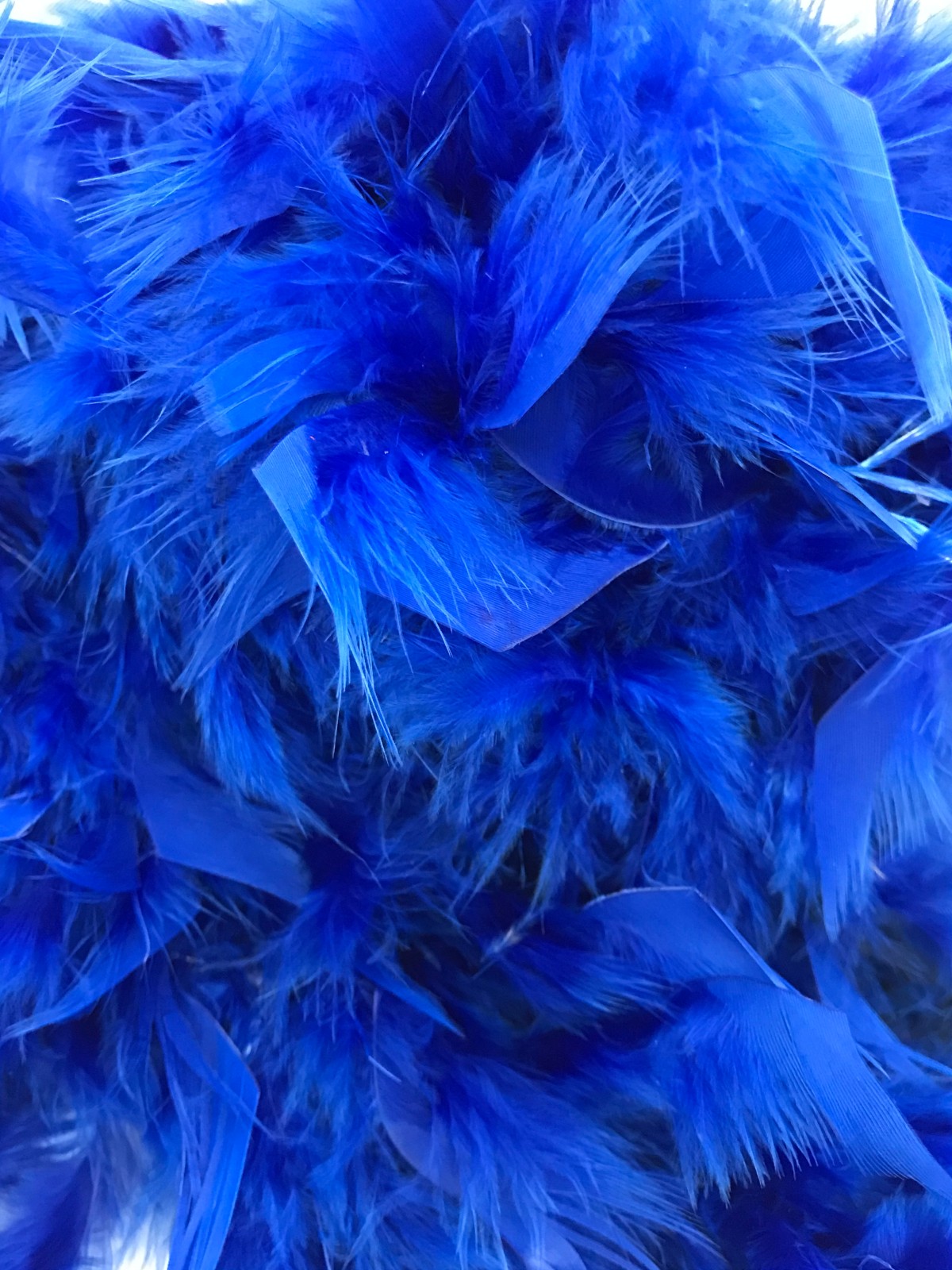 BOA PLUMA