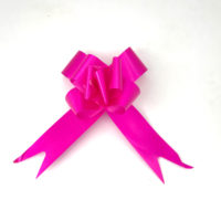 FUCSIA P8