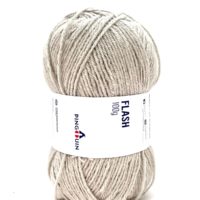 flash-2841