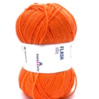 flash-5241