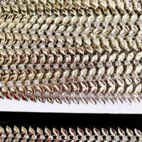 strass dorado
