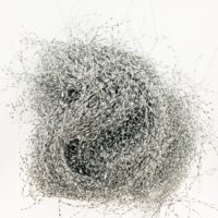 CABELLO DE ANGEL PLATA