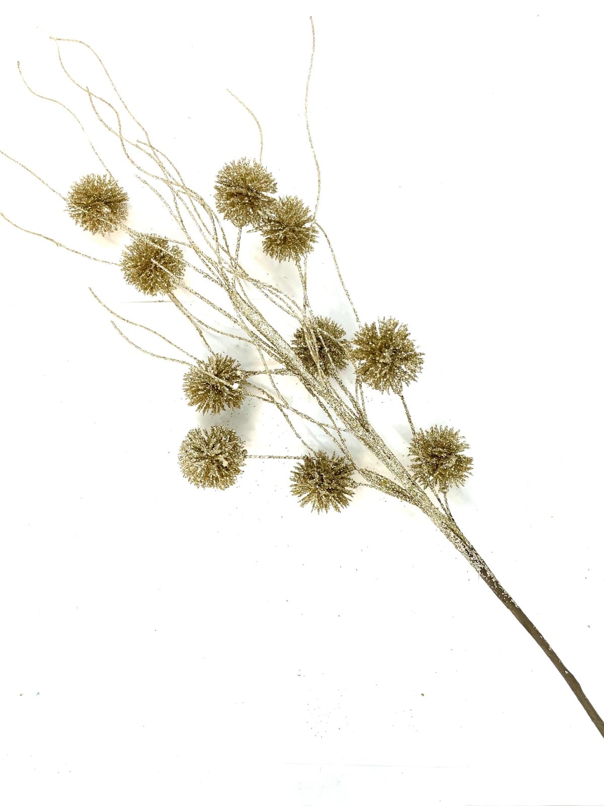 FOLLAJE POMPON CHAMPAÑA