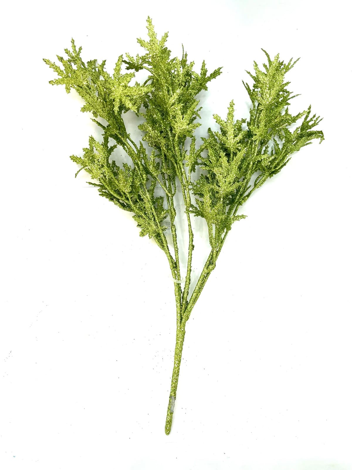 FOLLAJE ROMERO VERDE