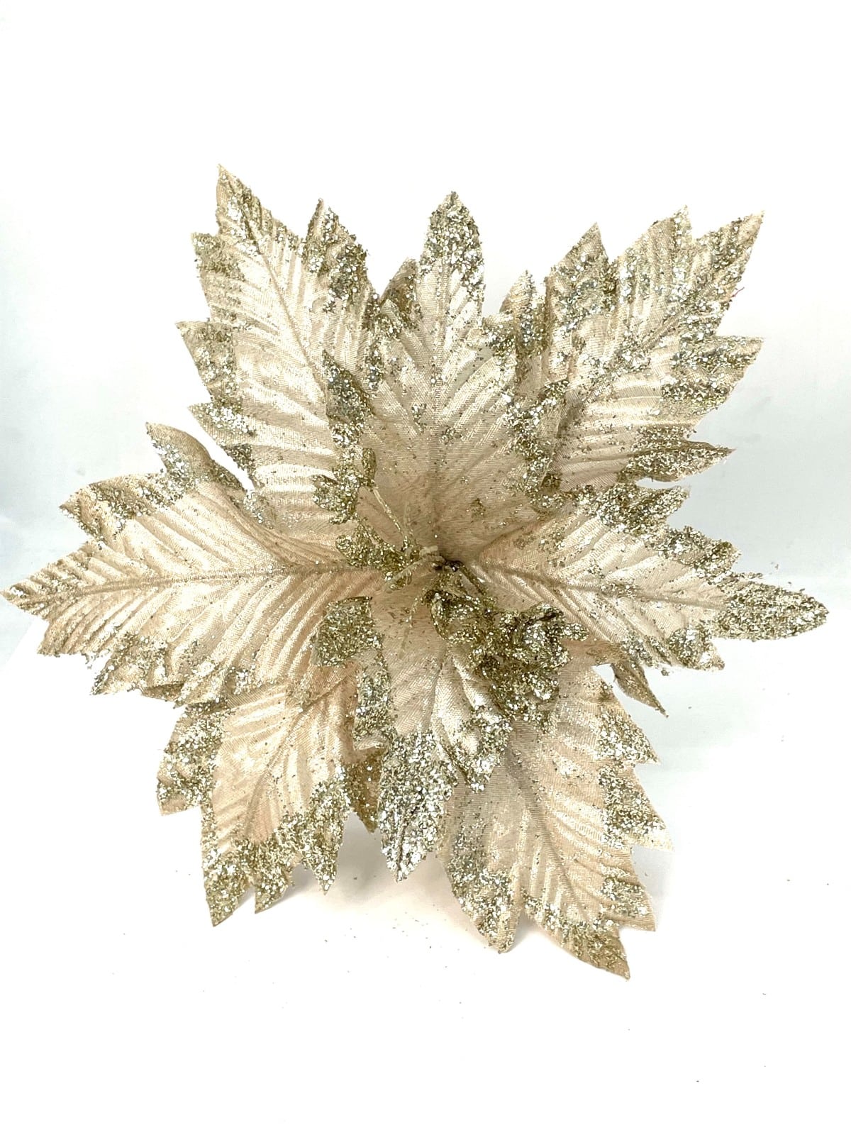 POINSETTIA 39X43CM CHAMPAÑA