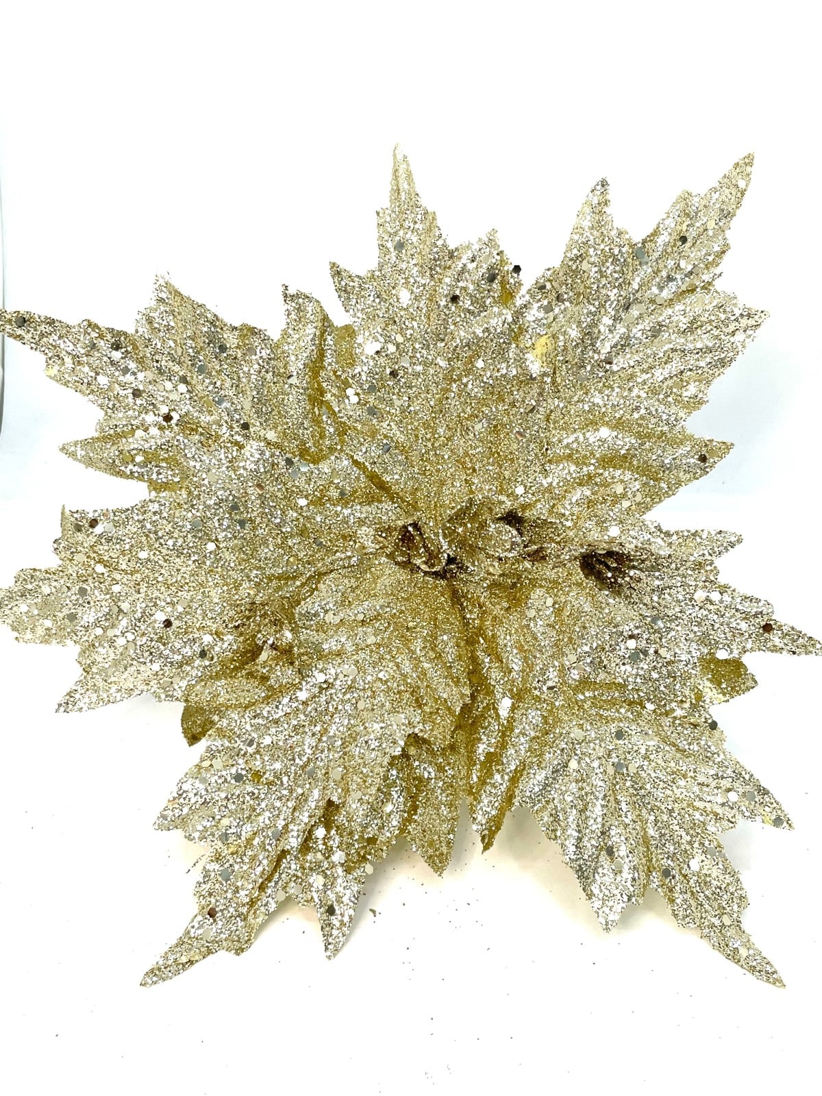 POINSETTIA 39X43CM CHAMPAÑA
