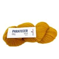 PARATECER 207