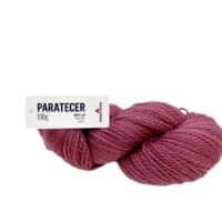 PARATECER 311