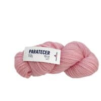 PARATECER 377