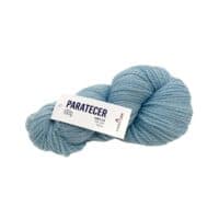 PARATECER 501
