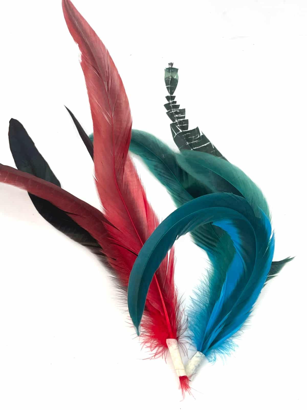 PLUMA COLIBRI