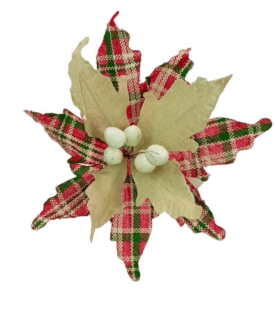 POINSETTIA 39X43CM  ESCOCESA