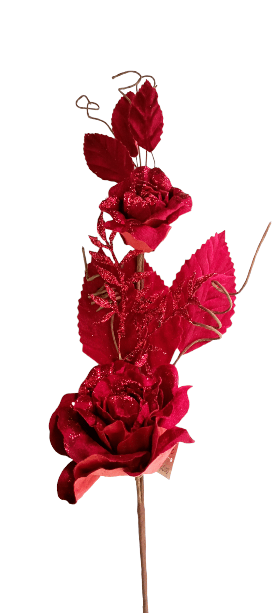 POINSETTIA 39X43CMDE ROSAS