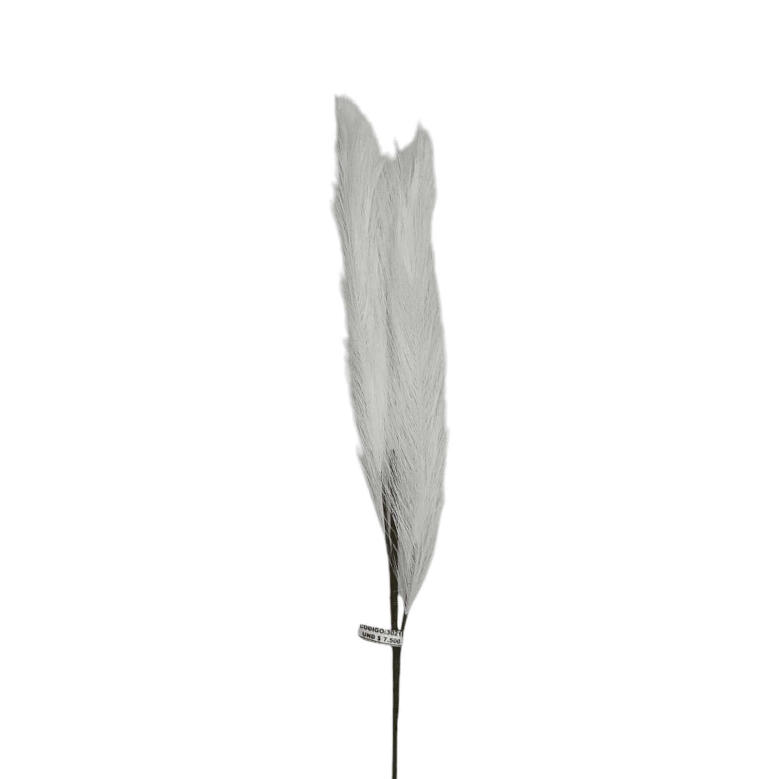PAMPAS X 5 BLANCA - 30219