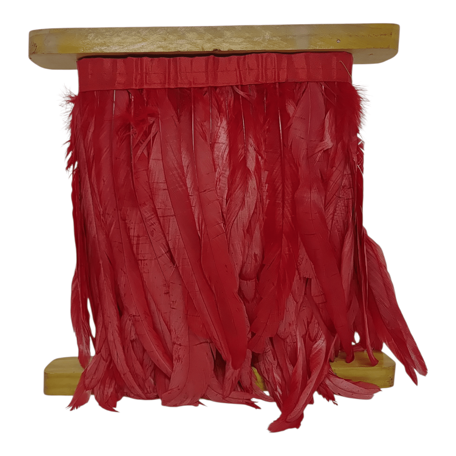 TIRA DE PLUMA DE GALLO