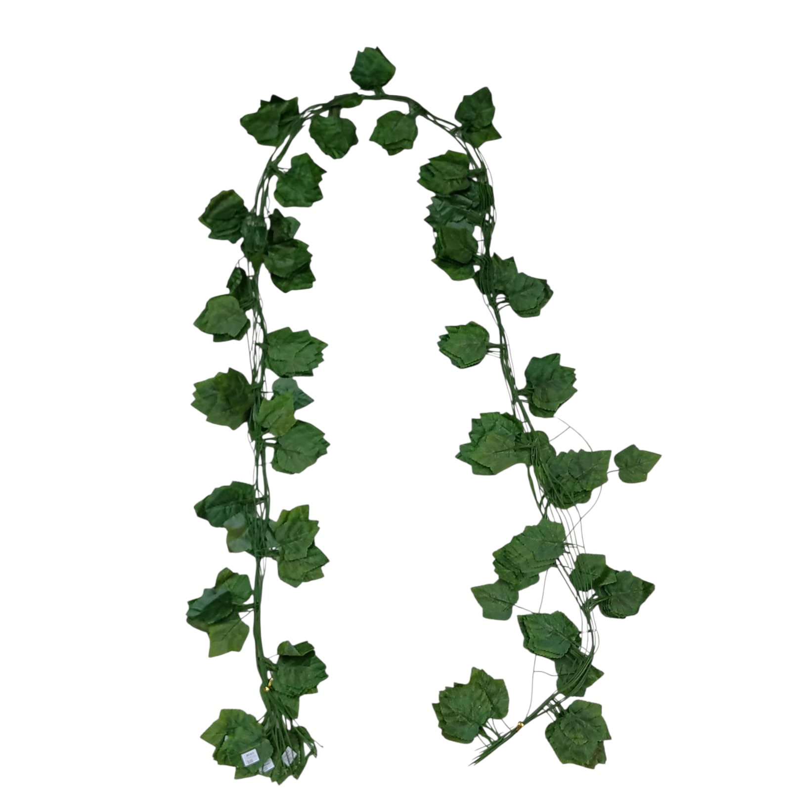 ENREDADERA HOJA SENCILLA - 30183