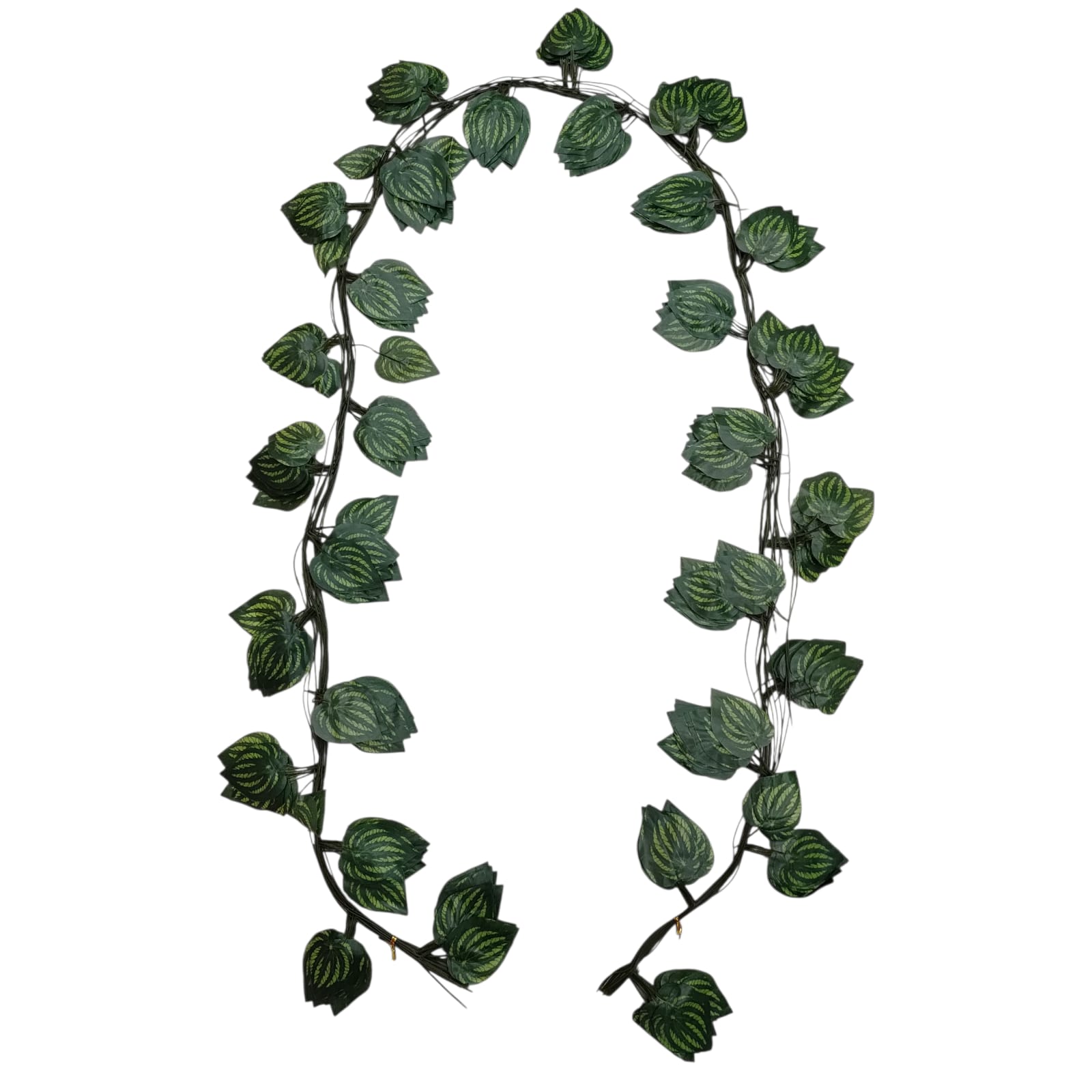ENREDADERA HOJA MEDIANA SENCILLA - 30183