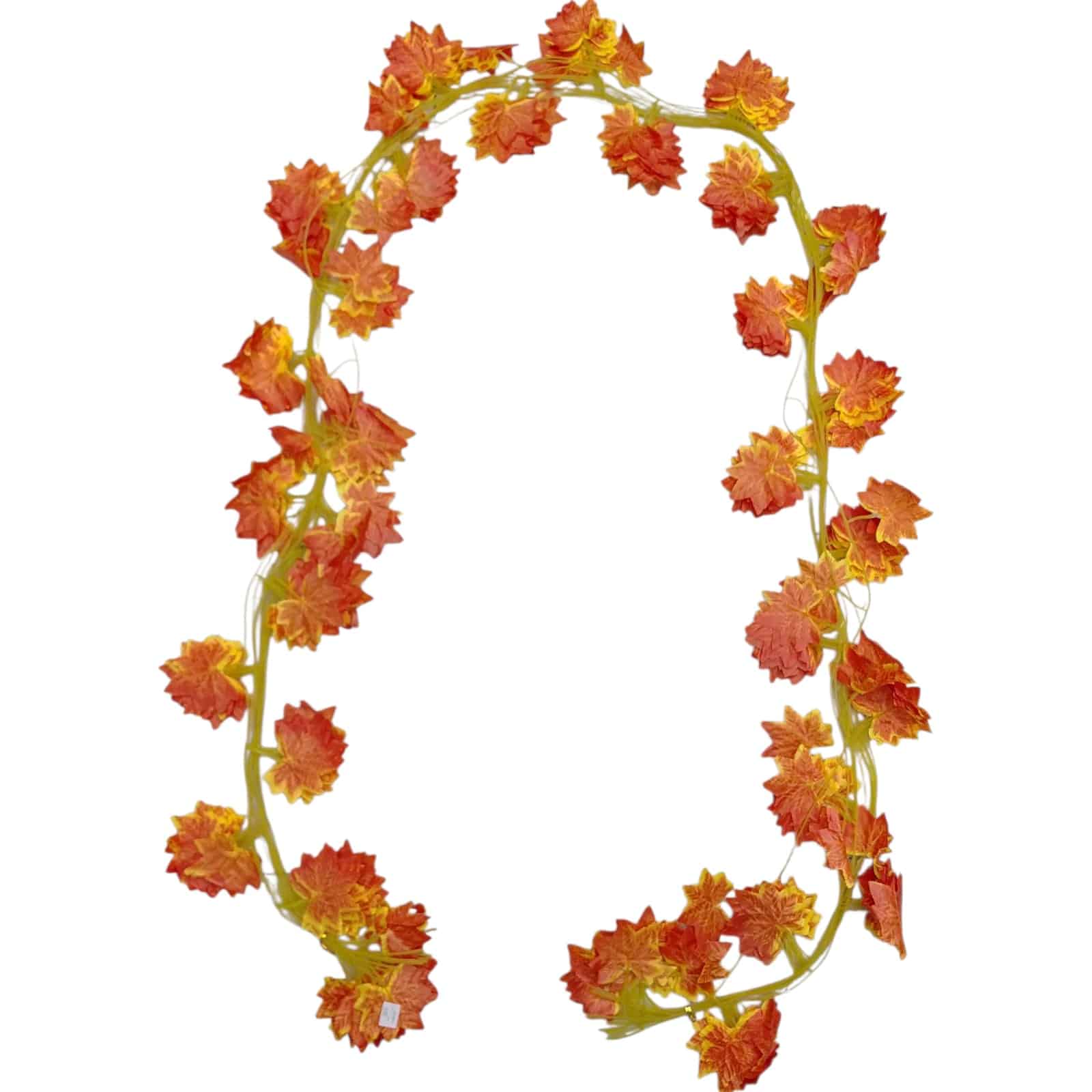 ENREDADERA HOJA SENCILLA NARANJA