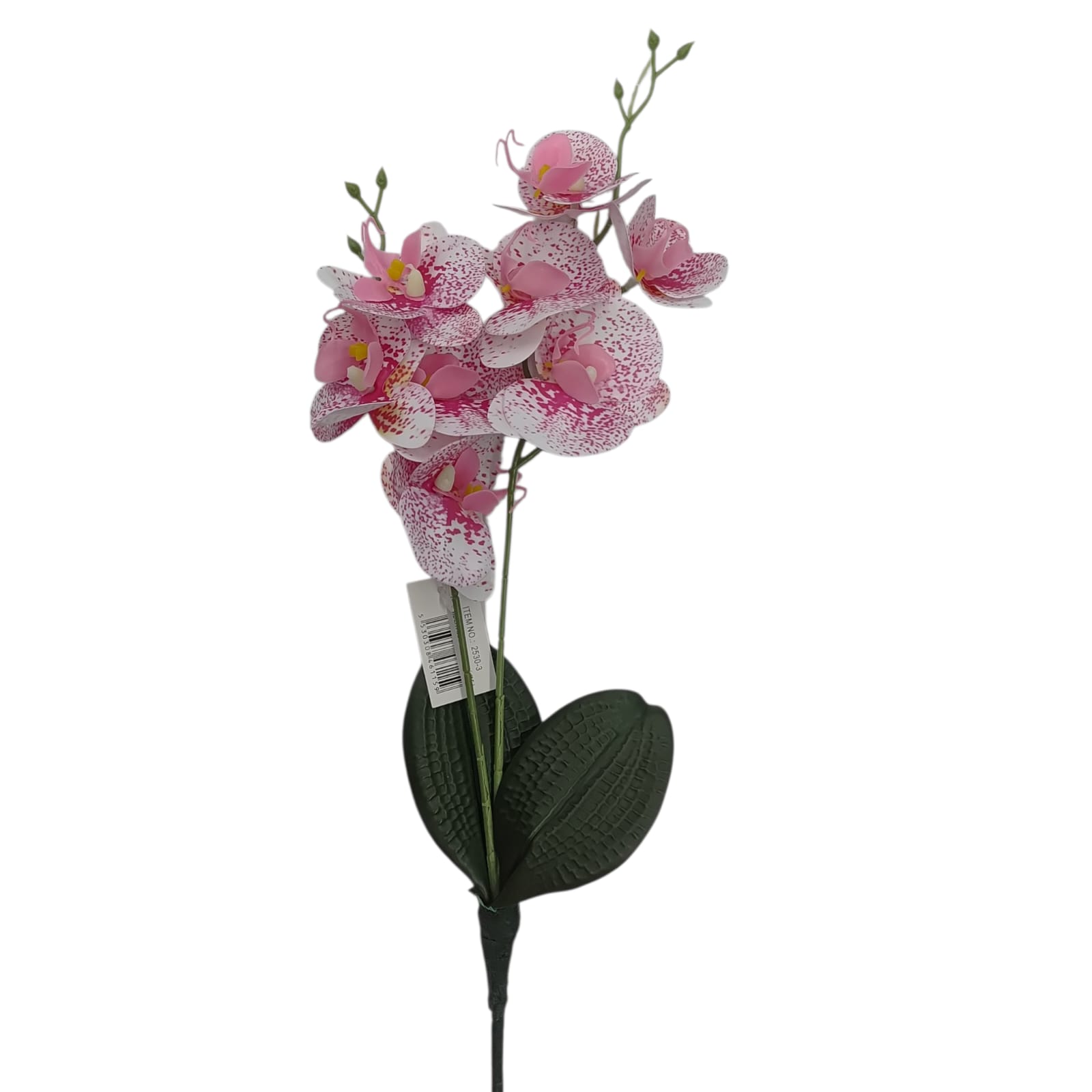 ORQUIDEA FINA X 8